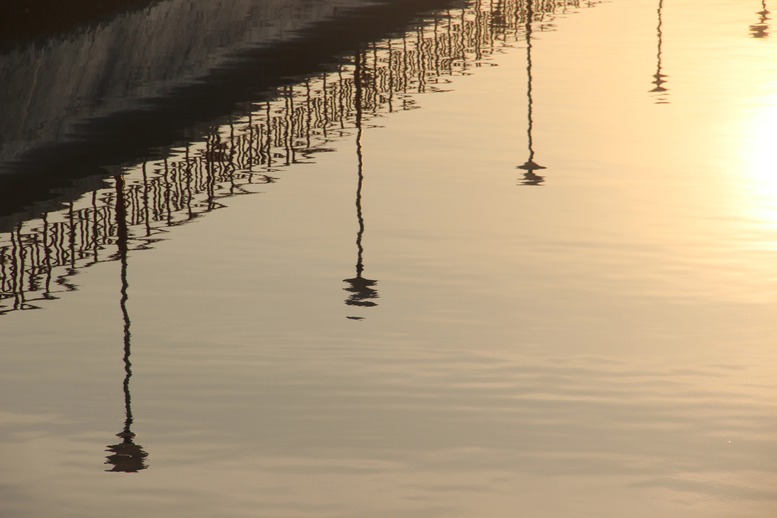Foto: Eine Promenade spiegelt sich auf ruhigem Meer.