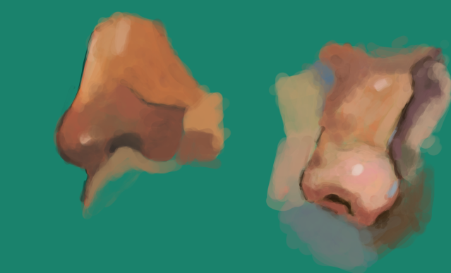 Zwei gemalte Nasen im Halbprofil auf türkisem Grund. Die Farbpalette ist kräftig, die Pinselstriche noch deutlich erkennbar.
